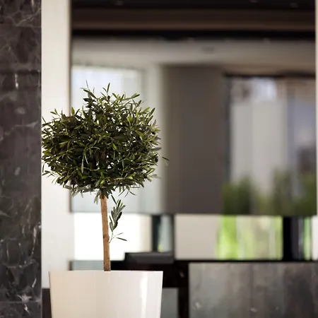 Christofinia Agia Napa