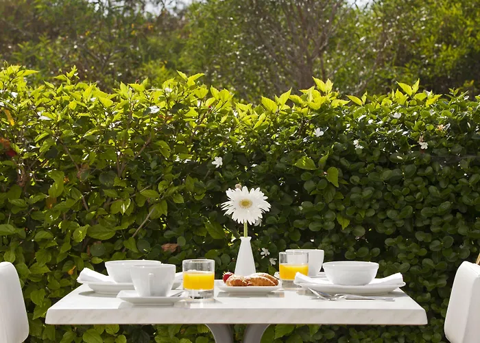 Christofinia Ajía Nápa